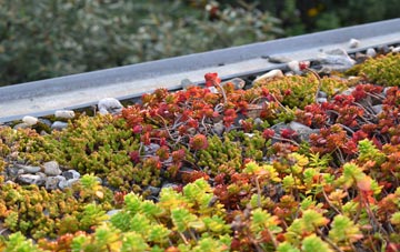the cost of Marbhig green roof installation